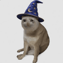 WIZCAT