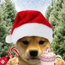 wifmas