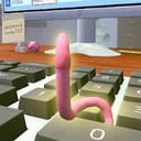 WORM