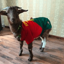 GOATNALDO