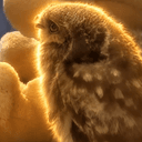 NINOX