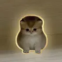 aaa