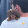 SAUSAGEDOG