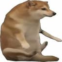 狗来