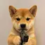 Dogwifgun