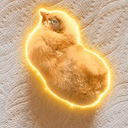 Lucerito
