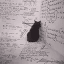ThesisCat