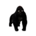 apecat