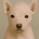 rawdog
