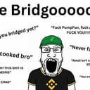 BRIDGOOOOOR