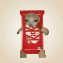 KITKAT