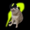Cash Cats
