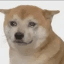 RAPEDOG