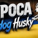 OKYPOCA