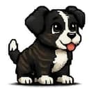 Ponch