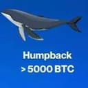 Humpback
