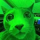 MarketCat