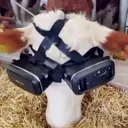 Mootrix