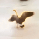 GOOSE