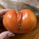 🍅