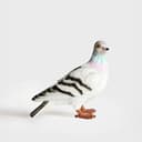 Pigeoncore