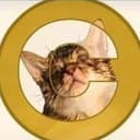CATE
