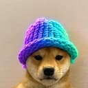 wifsolhat
