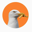gullpurr