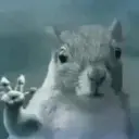 DS