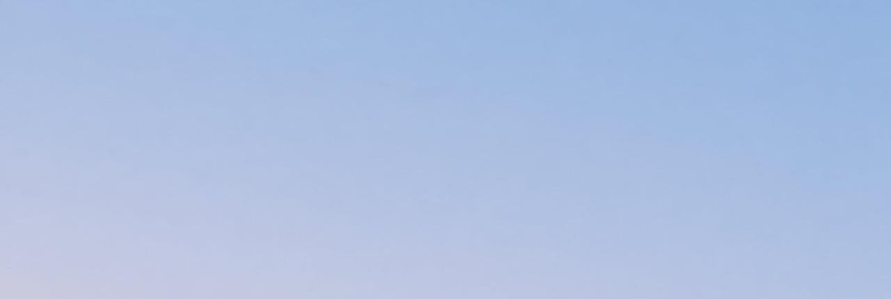 The Index Banner