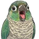ロト