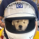 DIH