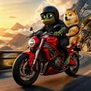 RIDE