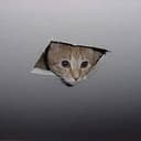 ceiling
