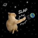 SLAP