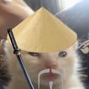 多少