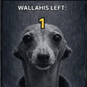 Wallahi