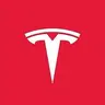 Tesla AI