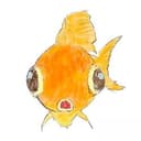 goldfish