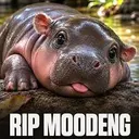MOODENG