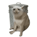TRASHCAT