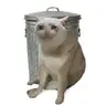 TRASHCAT
