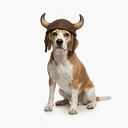 BULL