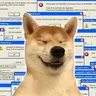 HTML