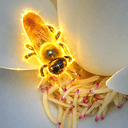GREEDYBEE