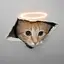 CEICAT