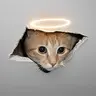 CEICAT