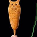 corndogcat