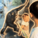 CHIMP