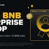 100 BNB 惊喜掉落